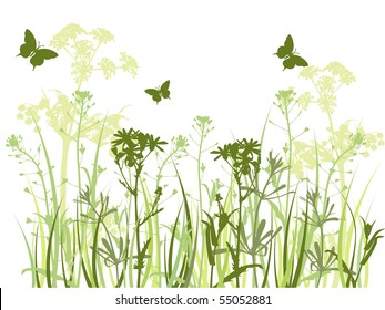 background with green grass, camomile flowers  and butterfly