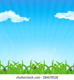 Background with green grass. Grass with ladybug and waterdrop. Sky with cloud. Landscape. Summer time. EPS10 vector