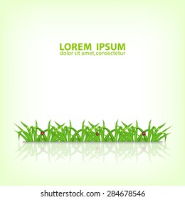 Background with green grass. Grass with ladybug and waterdrop. Landscape. Summer time. Spring time. EPS10 vector