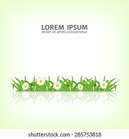 Background with green grass. Grass with ladybug and waterdrop. Chamomile with grass. Landscape. Summer time. Spring time. EPS10 vector