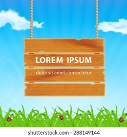 Background with green grass. Grass with ladybug and waterdrop. Wooden plank on meadow. Sky with cloud. Landscape. Summer time. EPS10 vector