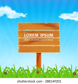 Background with green grass. Grass with ladybug and waterdrop. Wooden plank on meadow. Sky with cloud. Landscape. Summer time. EPS10 vector