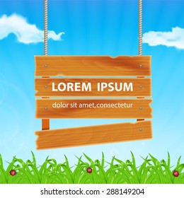 Background with green grass. Grass with ladybug and waterdrop. Wooden plank on meadow. Sky with cloud. Landscape. Summer time. EPS10 vector