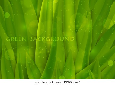 background of green grass, summer background