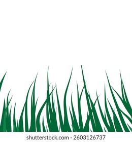 Background with green grass.Beautiful decorative summer lawn.green leaft.