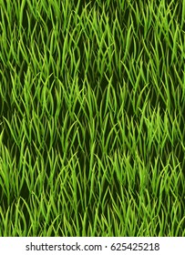 Background with green grass.Vector illustration,