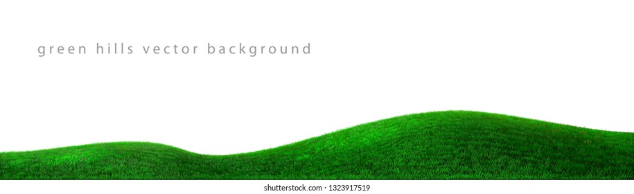 Background green hills vector. Realistic eco natural landscape. Lawn grass and plants