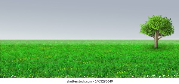 Background green horizon with tree vector. Realistic eco natural landscape. Lawn grass and plants