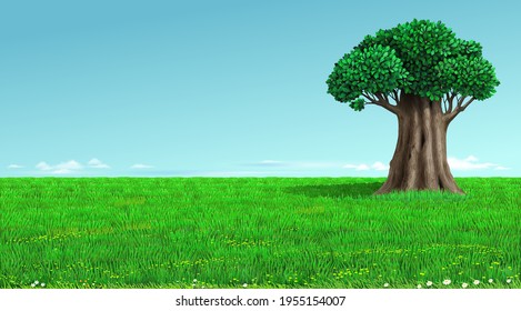 Background green horizon with tree vector. Realistic eco natural landscape. Lawn grass and plants