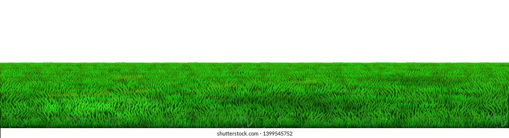Background green horizon vector. Realistic eco natural landscape. Lawn grass and plants