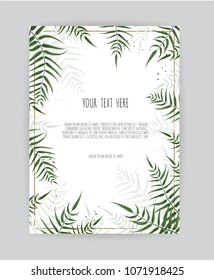 Background with green leaf , eucalyptus branches, decorative wreath frame pattern. Floral poster.