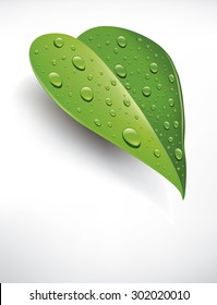 background green leaf with water droplets