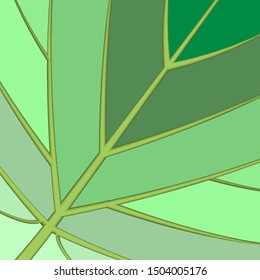 Background of green leaf.paper cut shapes.Art design colorful layout for business presentations, flyers, posters.