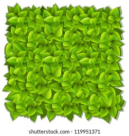 Background of green leaves