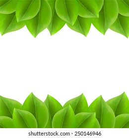 Background with green leaves