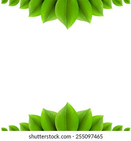 Background with green leaves