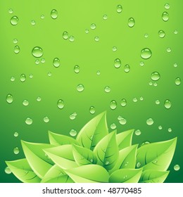 Background with green leaves