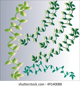 Background with green leaves