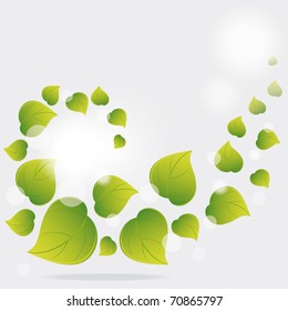 Background from  green leaves