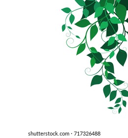 Background with green leaves and curls , vector illustration. Fine branches