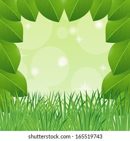 background with green leaves and grass for a design and mestome for text,vector illustration