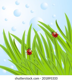 background  with green leaves and ladybirds,  vector  illustration