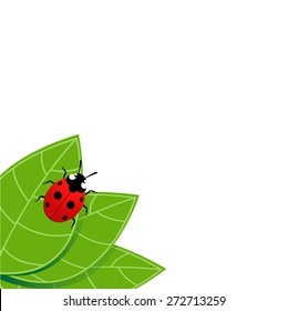 Background with green leaves on which the ladybug.