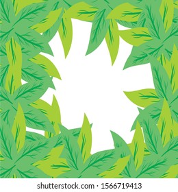the background of green leaves piled in a circle