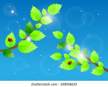 Background with green leaves and sky. Vector illustration.