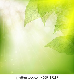 Background of green leaves, summer or spring season. EPS 10 vector file included