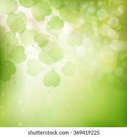 Background of green leaves, summer or spring season. EPS 10 vector file included