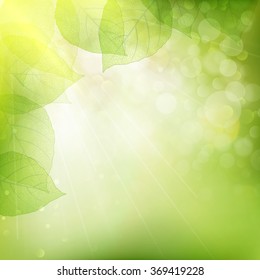 Background of green leaves, summer or spring season. EPS 10 vector file included