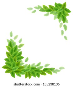 Background with green leaves. Vector illustration.