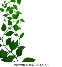 観葉植物 つた のイラスト素材 画像 ベクター画像 Shutterstock