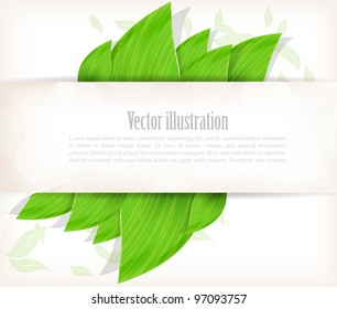 Background with green leaves and white poster