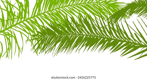 Background with green palm leaf. hand drawing. Not AI. Vector illustration