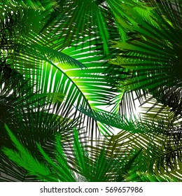 Background green palm leaves. Vector