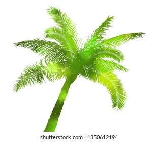 Background with green palm trees