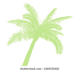 Background with green palm trees
