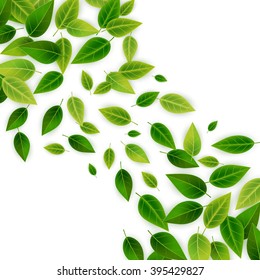Background with green realistic leaves, vector illustration