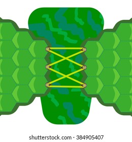 background green sneakers, the laces, vector illustration