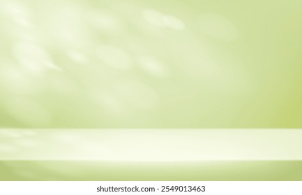 Background green Studio with Shadow Leaves. Space for selling products on the website. Empty room with shadow leaves. Vector illustration.