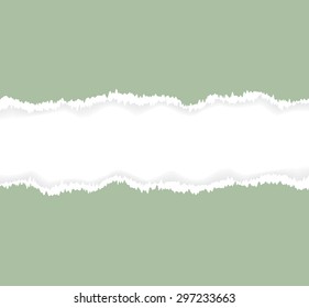Background of green torn paper. Vector illustration