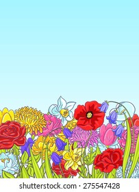 Background for greeting card with carnation, calla, bellflower, poppy, narcissus, chrysanthemum, rose, peony and tulip