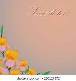 Background for greeting card with flowers iris.