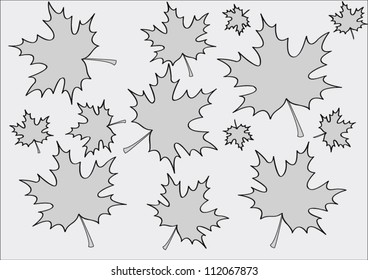 Background from grey maple leaves isolated on a grey background