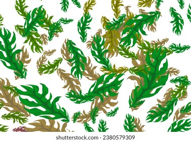 background of a group of leaves scattered with white background