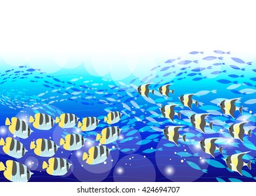 Background of the group of the undersea tropical fish