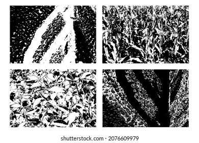 Background grunge texture set. vector illustration.