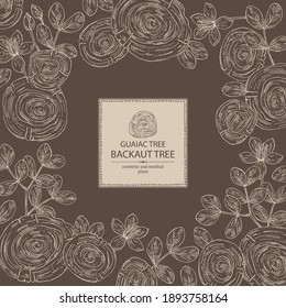 Background with guaiac tree: wood, flower, leaves and  piece of guaiac tree. Backaut tree. Perfumery, cosmetics and medical plant. Vector hand drawn illustration